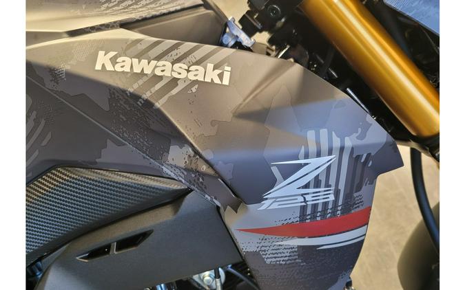 2024 Kawasaki BR125JRFAN