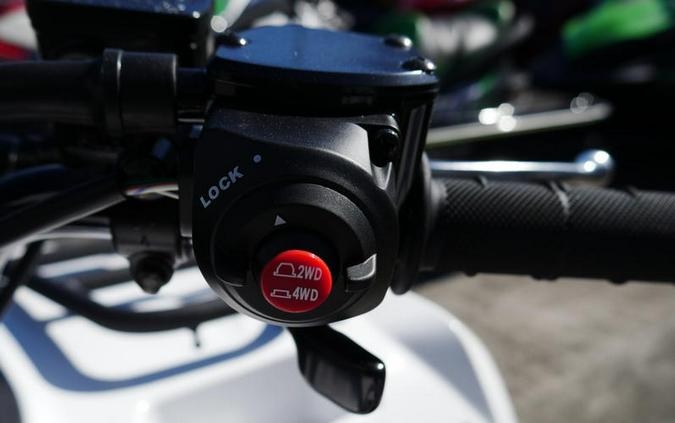 2025 Kawasaki Brute Force® 450 4x4