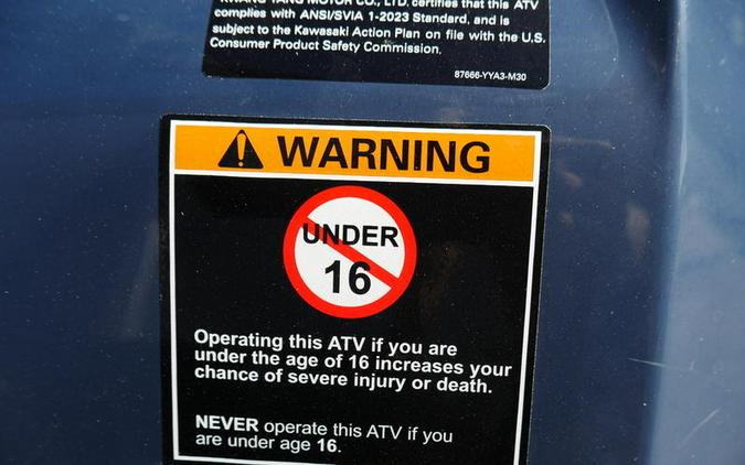 2025 Kawasaki Brute Force® 450 4x4