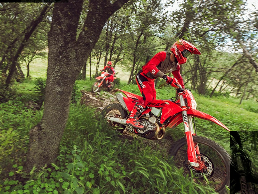 2025 Gas Gas EC 450F - 310691* S