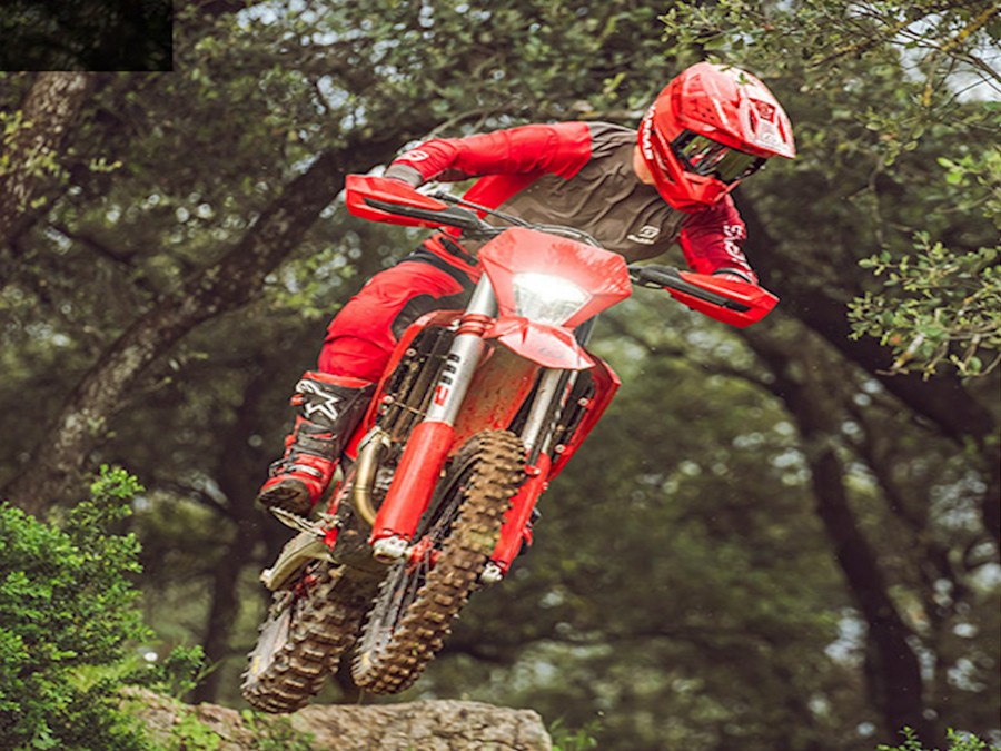 2025 Gas Gas EC 450F - 310691* S