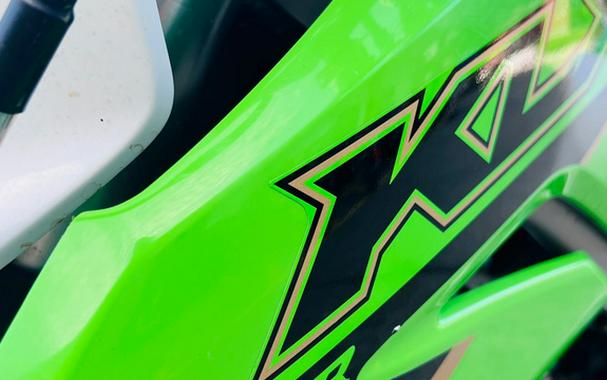 2022 Kawasaki KLX 300R