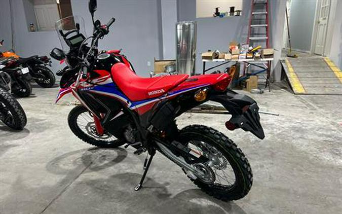 2024 Honda CRF300 RALLY