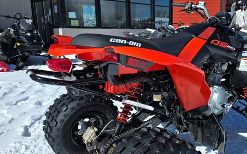2026 Can-Am DS 250