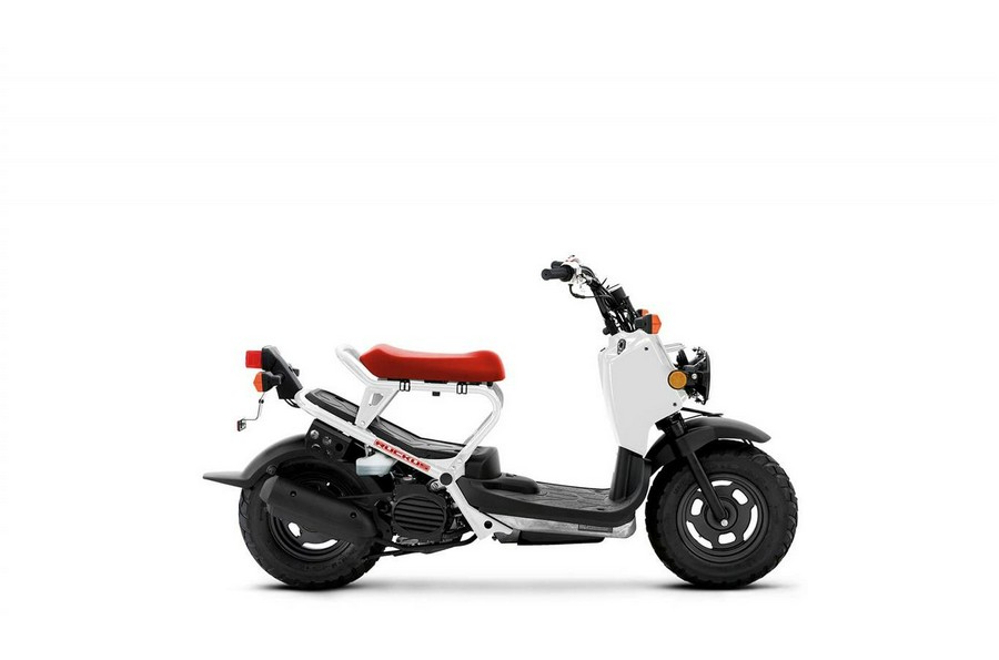 2020 Honda Ruckus