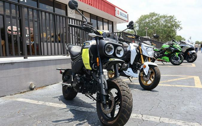 2024 CFMOTO Papio CL
