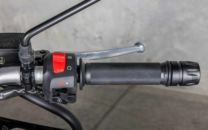 2023 Royal Enfield Himalayan Gravel Grey