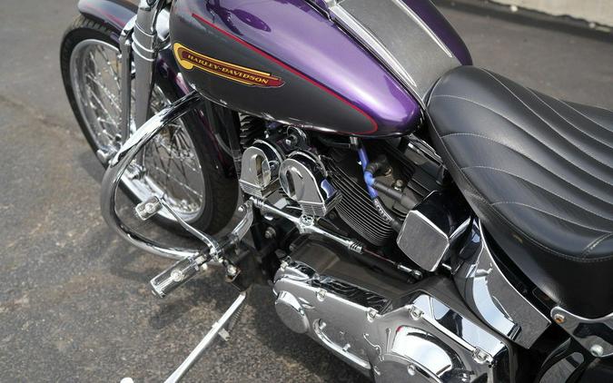 2004 Harley-Davidson FXSTS - Springer Softail