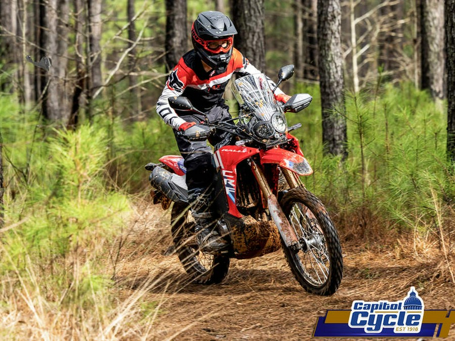 2025 Honda® CRF300L Rally ABS