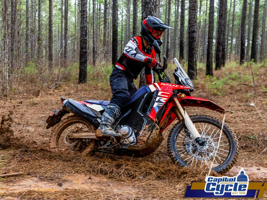 2025 Honda® CRF300L Rally ABS