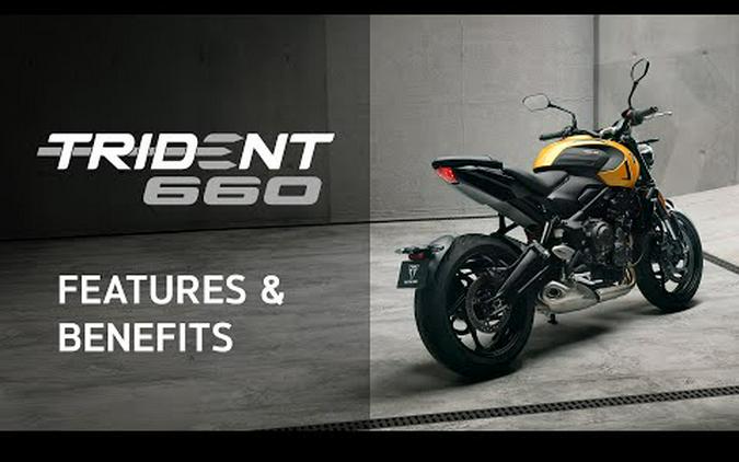 2026 Triumph Trident 660