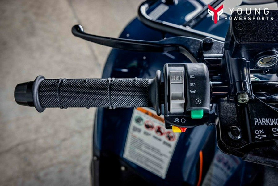 2025 Kawasaki Brute Force 300 300