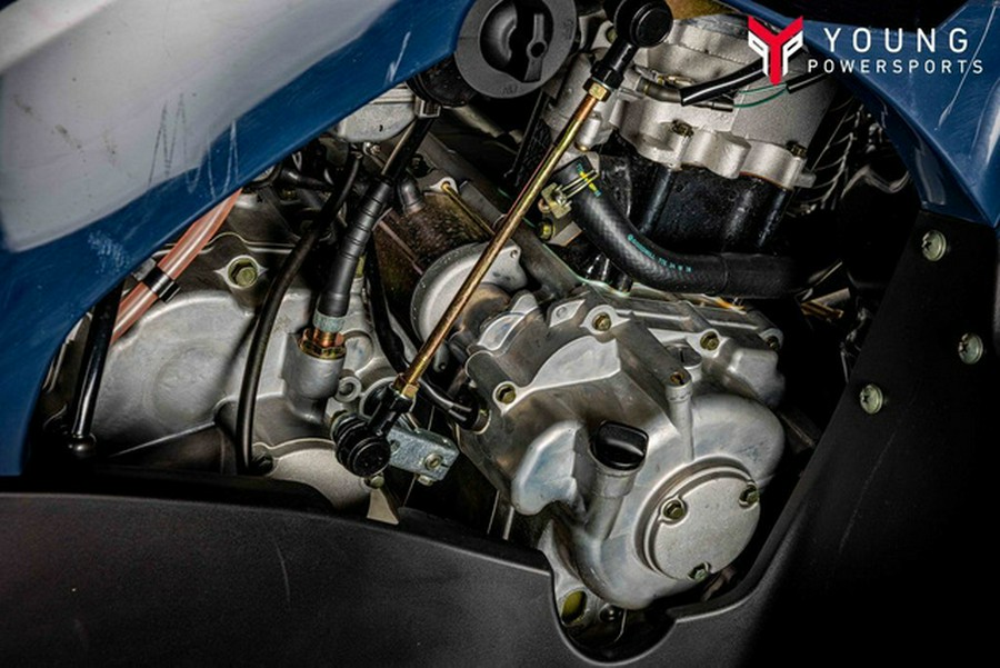 2025 Kawasaki Brute Force 300 300