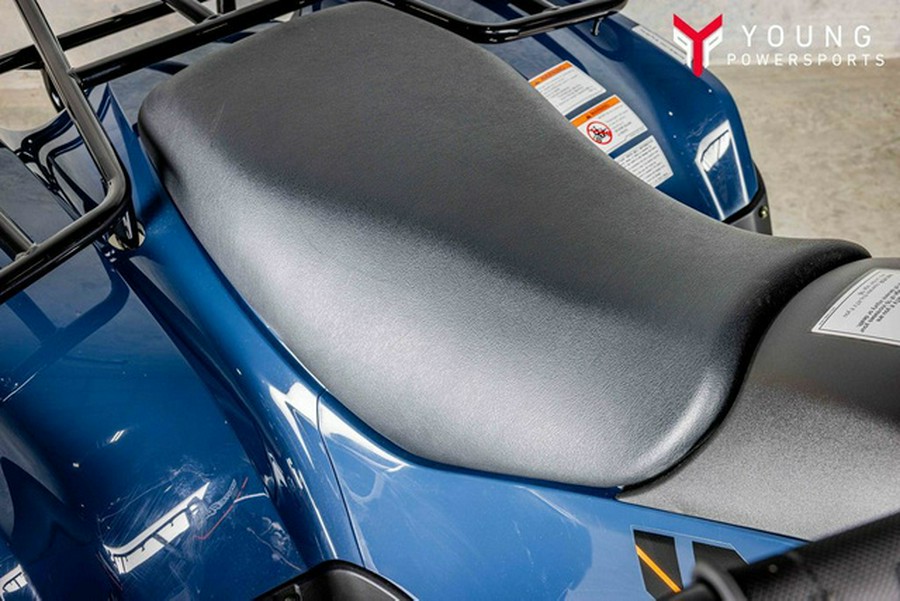 2025 Kawasaki Brute Force 300 300