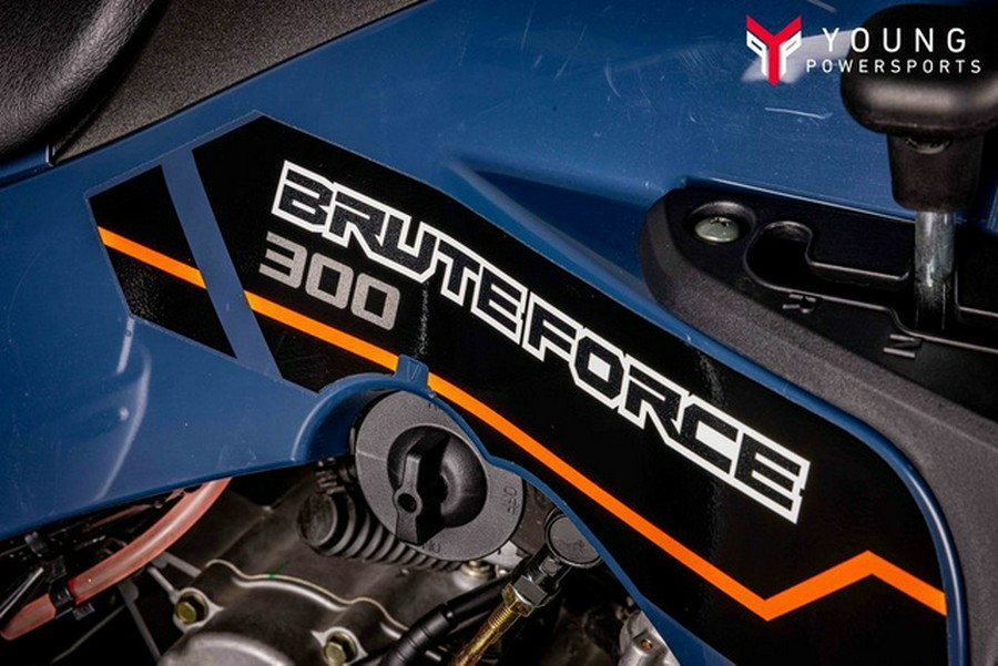 2025 Kawasaki Brute Force 300 300