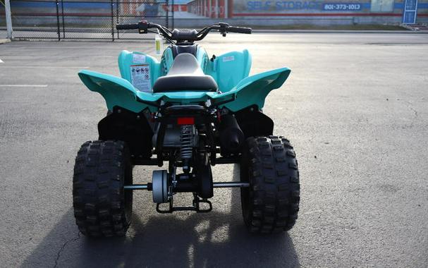 2025 Yamaha Raptor 110