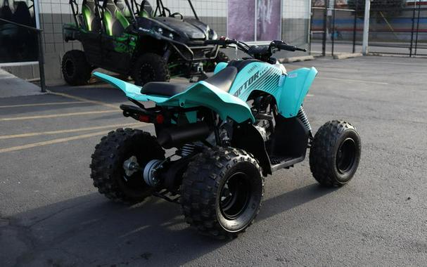 2025 Yamaha Raptor 110