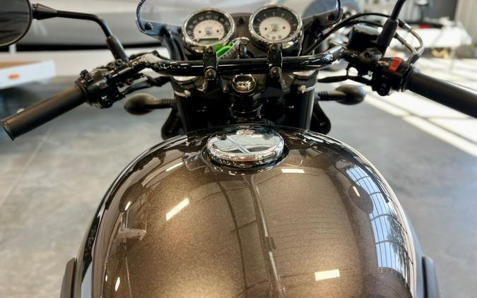 2019 Kawasaki W800 Cafe