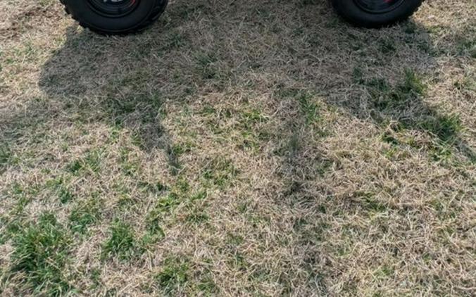 2025 Yamaha Raptor 700R SE