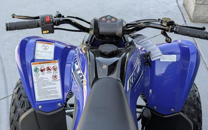 2026 Yamaha Raptor 110