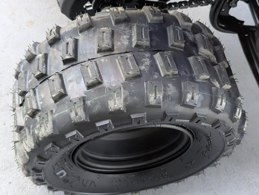 2026 Yamaha Raptor 110
