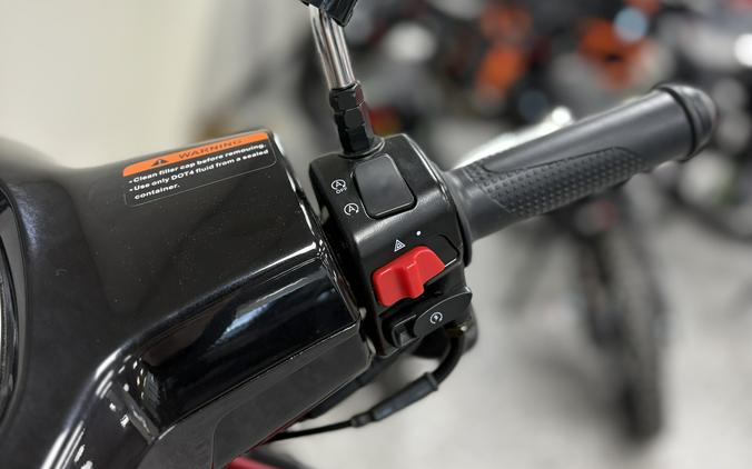 2023 QJ Motor LTR 150 - QJ8925