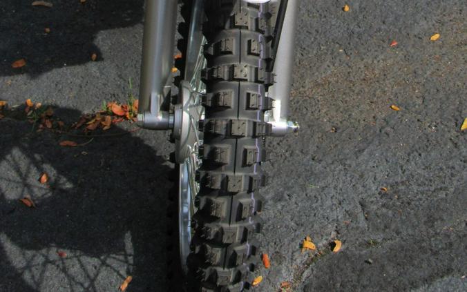 2026 Kawasaki KLX 110R