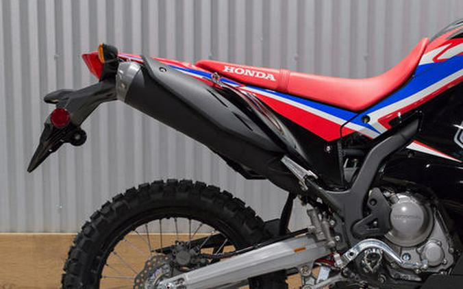 2024 Honda® CRF300L Rally