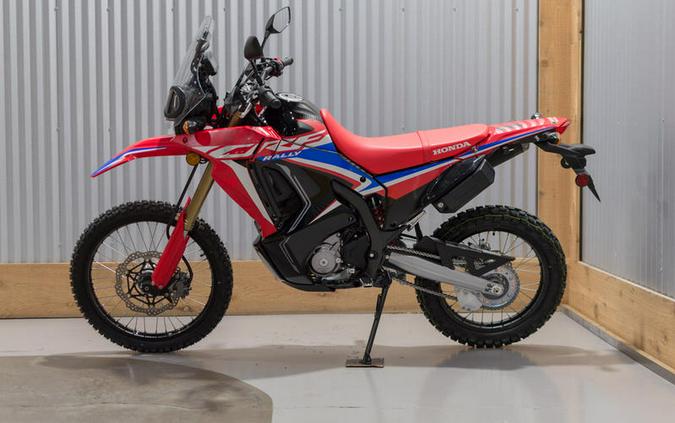 2024 Honda® CRF300L Rally