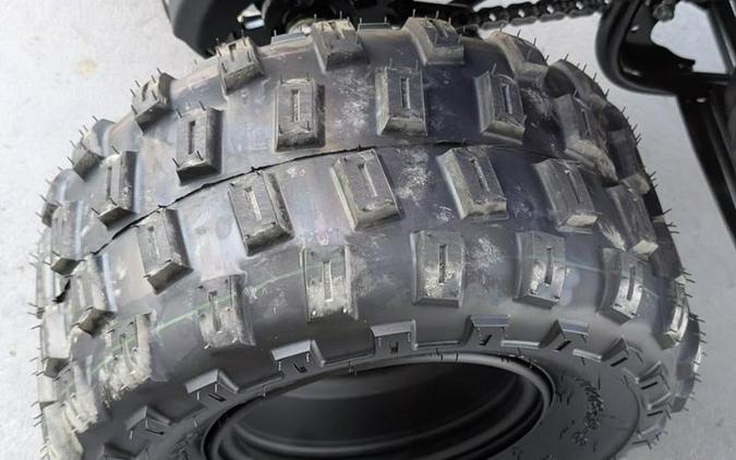 2026 Yamaha Raptor 110