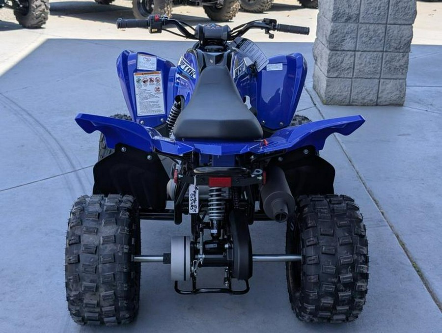 2026 Yamaha Raptor 110