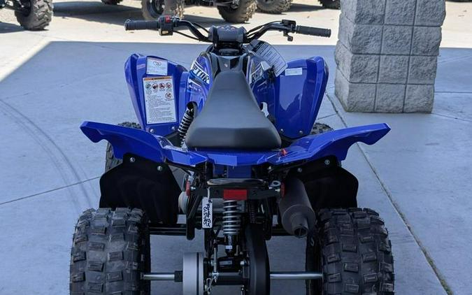 2026 Yamaha Raptor 110
