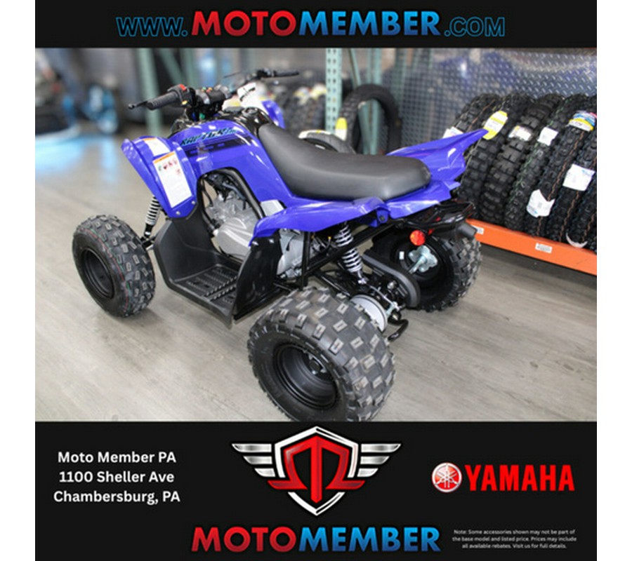 2026 Yamaha Raptor 110