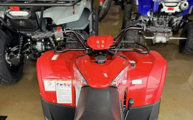 2025 Yamaha Grizzly 110