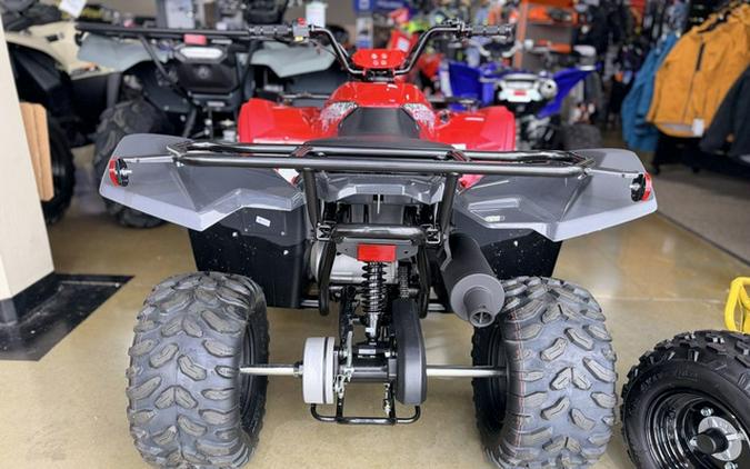 2025 Yamaha Grizzly 110