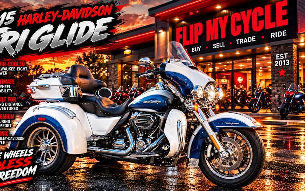 2015 HARLEY-DAVIDSON FLHTCUTG - F854938