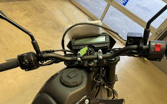 2026 Kawasaki KLX300GSFNL