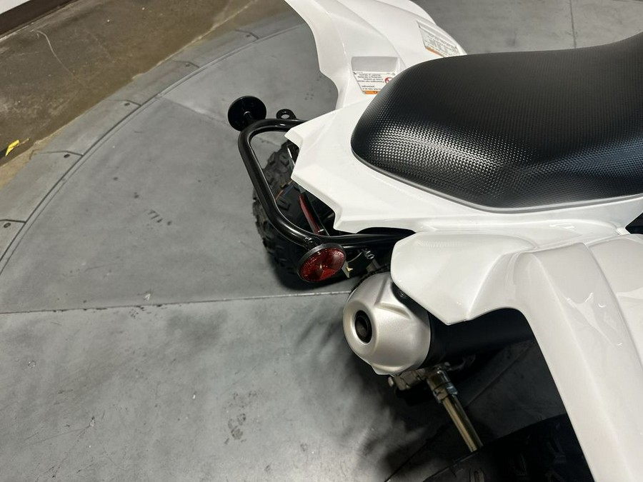 2026 Yamaha Raptor 700