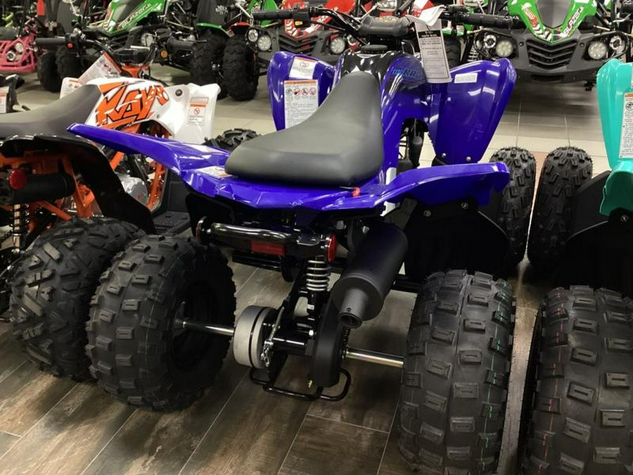 2024 Yamaha Raptor 110