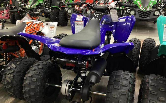 2024 Yamaha Raptor 110