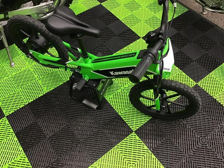 2023 Kawasaki Elektrode™