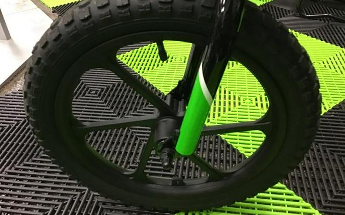 2023 Kawasaki Elektrode™