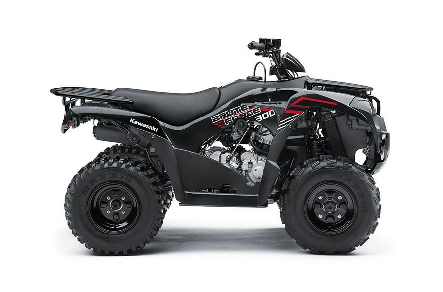 2023 Kawasaki BRUTE FORCE® 300 - HOLD