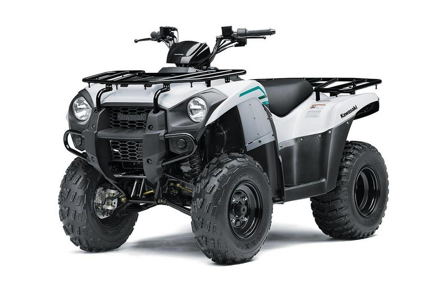 2023 Kawasaki BRUTE FORCE® 300 - HOLD