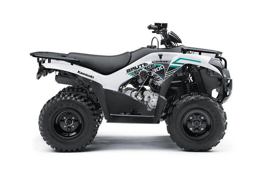 2023 Kawasaki BRUTE FORCE® 300 - HOLD