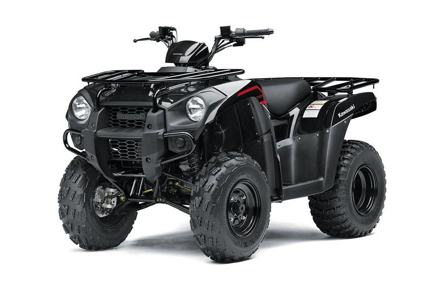 2023 Kawasaki BRUTE FORCE® 300 - HOLD