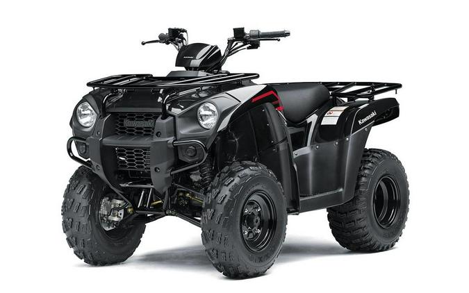 2023 Kawasaki BRUTE FORCE® 300 - HOLD