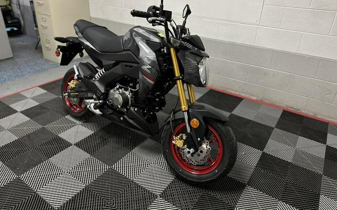 2024 Kawasaki Z125 PRO