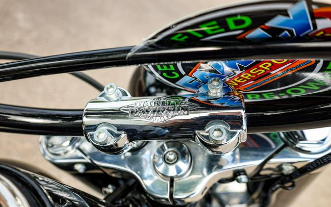 2020 HARLEY SOFTAIL SLIM