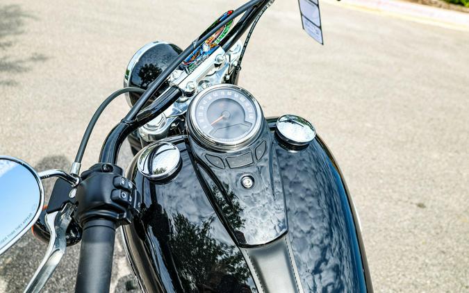 2020 HARLEY SOFTAIL SLIM